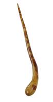 Irish Hazel Wood Walking Stick (2)