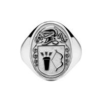 Mens Back Oval Family Coat of Arms Ring, Hollow