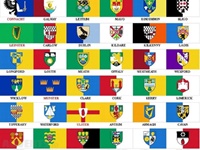 12 x 18 Irish County Crested Flags (2)