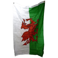3 x 5 Foot National Flag- Wales (2)