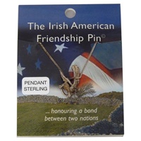 The Irish American Friendship Pin