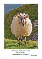 Irish Sheep Birthday Card