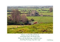 Sheep Irish Wisdom Card