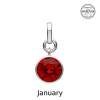 Sterling Silver Swarovski Charm, January