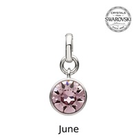 Sterling Silver Swarovski Charm, June