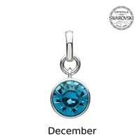 Sterling Silver Swarovski Charm, December