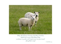 Irish Blessing, Anniversary Card, Sheep