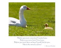 Goose with Gosling New Baby Card (6)
