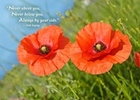 Two Poppies Anniversary Card