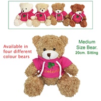 Medium Plush Teddy In Pink Ireland Hoodie