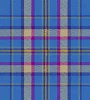 Clan Cian Tartan Tie