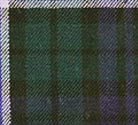 Dress Watch Modern Tartan Wool Necktie (2)