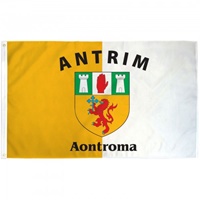County Antrim 3 x 5 Polyester Flag