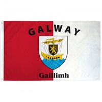 County Galway 3 x 5 Polyester Flag