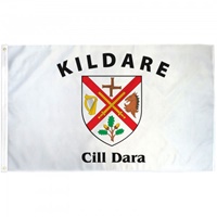 County Kildare 3 x 5 Polyester Flag
