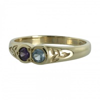 14K Gold 2 Stone Family Colors Ring