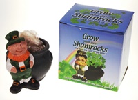 Grow Your Own Shamrocks