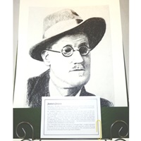 Irish Writer- James Joyce